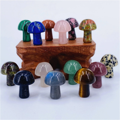 10pcs Mini Crystal Mushrooms Agate Stones Natural Quartz Gem Crystal Healing