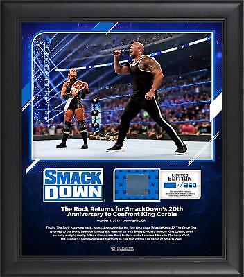 #ad The Rock World Wrestling Entertainment Framed 15quot; x 17quot; October 4