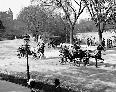 New York City CENTRAL PARK Glossy 8x10 Photo Carriage Print Old Wall Art Poster
