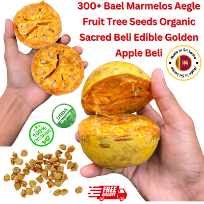 #ad 300 Dried BAEL FRUIT LEAVES Beli Mal Leaf Tea Bilva Bel Patri Aegle Marmelos