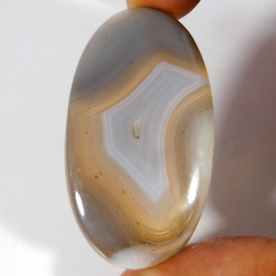 #ad 63.25Cts 100% Natural Quality Unique Botswana Agate Oval Cabochon Loose Gemstone