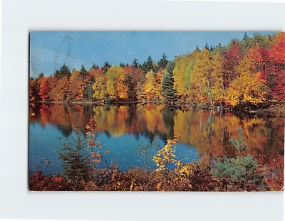 #ad Postcard Beautiful Autumn Nature Scene