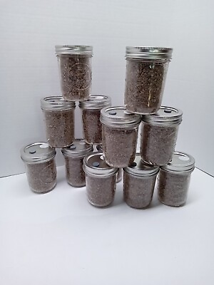 PF Tek Mushroom Jars BRF 1 2 pint sterilized EASY To Use Inject Filter FAST SHIP
