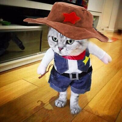 #ad Funny Pet Cosplay Clothes Cowboy Hat Suit Dog Puppy Cat Costume Halloween Outfit