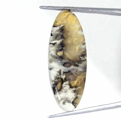 #ad 15.40Cts Tiger Dendritic Agate Cabochon Loose Gemstone Natural Oval 13x35x4mm