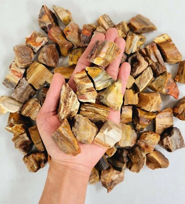 #ad Rough Petrified Wood Crystals Bulk Healing Gems amp; Fossil Stones for Tumbling