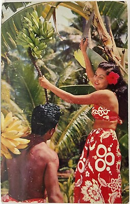 TAHITI amp; STINSONS SUVA Attractive Gathering Fruit Bringing Home Bananas Postcard
