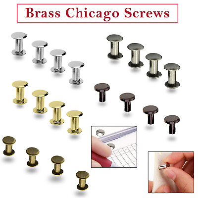 #ad Chicago Screws Rivets Studs Brass For Leather Craft Belt Bookbinding 10 20 50pcs