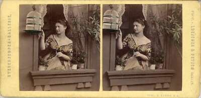 18 nice Stereoviews Genre ca 1880 1900 hand tinted Lot 6