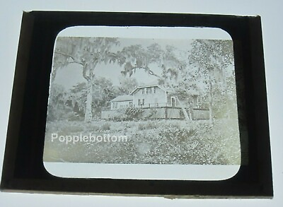 #ad 4quot; by 3 1 4quot; Magic Lantern Slide Home Among Cypress Trees Copelin Photo Chicago