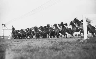 #ad The Runners Line Up At The Start Of The Beckhampton Stakes Old Photo