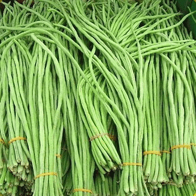 #ad 30 Yard Long Bean white Seed Asparagus beans Chinese Long beans Đậu đủa