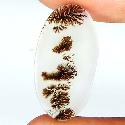 #ad natural SCENIC DENDRITIC AGATE oval shape loose gemstone 3.65 Cts. 10x18x01 mm