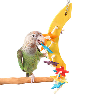 #ad Starry Night Medium Parrot Toy Pine chew toys for parrots