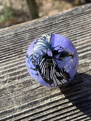 Handmade Glass Marble enamel summer bug On Purple Background