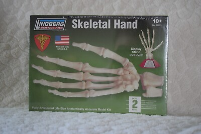New Lindberg Skeletal Hand Science Kit Skill Level 2 2007