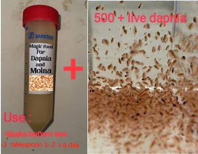 500 Live Daphnia Magna Magic Food 50ml