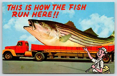 #ad quot;How the Fish Runquot; in Osage Beach Missouri Cartoon Fisherman Exaggerated 1970s