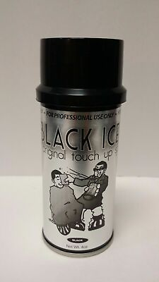 Black Ice Original Chromatone Touch Up Spray Black 4 oz