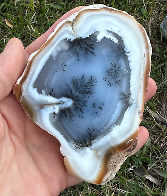 #ad Two Side Polished Scenic Dendritic Agate 100% Natural Stone 1430 Carat