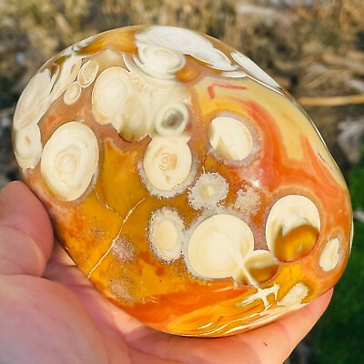 #ad 2.46lb Large Natural Colourful Agate Eye Agate Geode Crystal Healing Collection