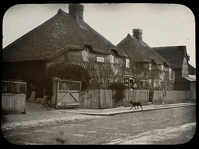 #ad Magic Lantern Slide THATCHED COTTAGES SOUTHGATE 1904 PHOTO LONDON ANTIQUE