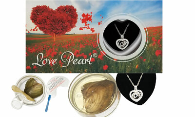 #ad Love Heart Cage Pendant Love Wish Pearl Kit Cultured Pearl Oyster Necklace Kit