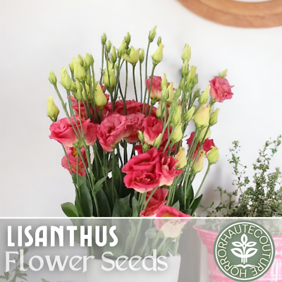 #ad Lisianthus Seeds 100 Seeds Garden Bloom Flower Seed Flowers Non Gmo Heirloom