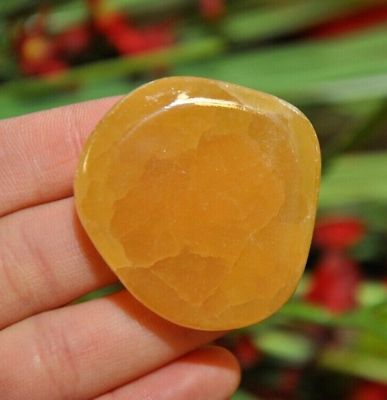 #ad Honey Citrine Calcite Smooth Palm Stone Reiki Pocket Healing Gemstone 2 inch