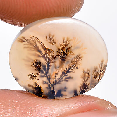 #ad 03.50 Cts. Natural Fantastic Scenic Dendritic Agate Oval 14X12X2 MM Cab Gemstone