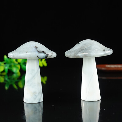 #ad 3quot; Mushroom Hand Carving Labradorite Quartz White Jade Natural Crystal Statue